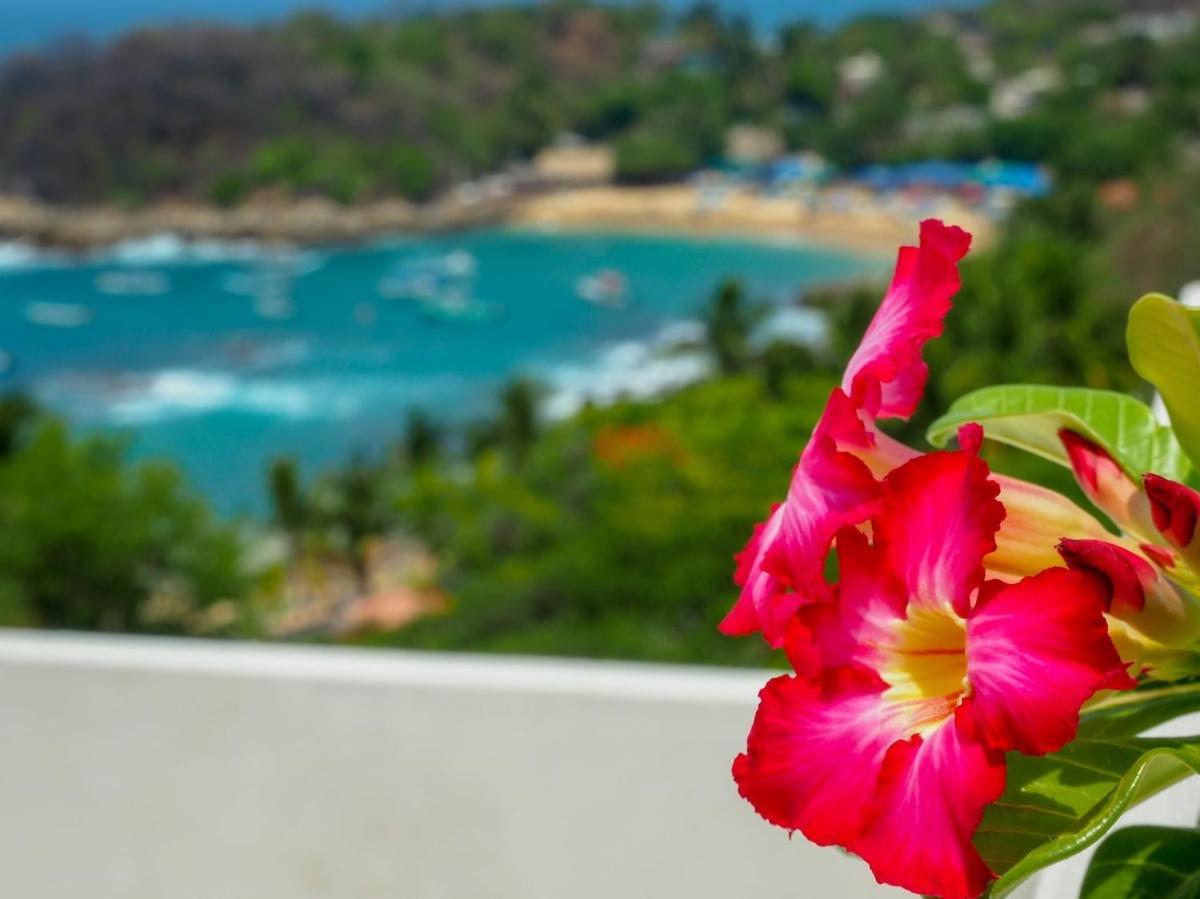Casa Cascada - Adults Only Hotel Puerto Escondido  Exterior foto